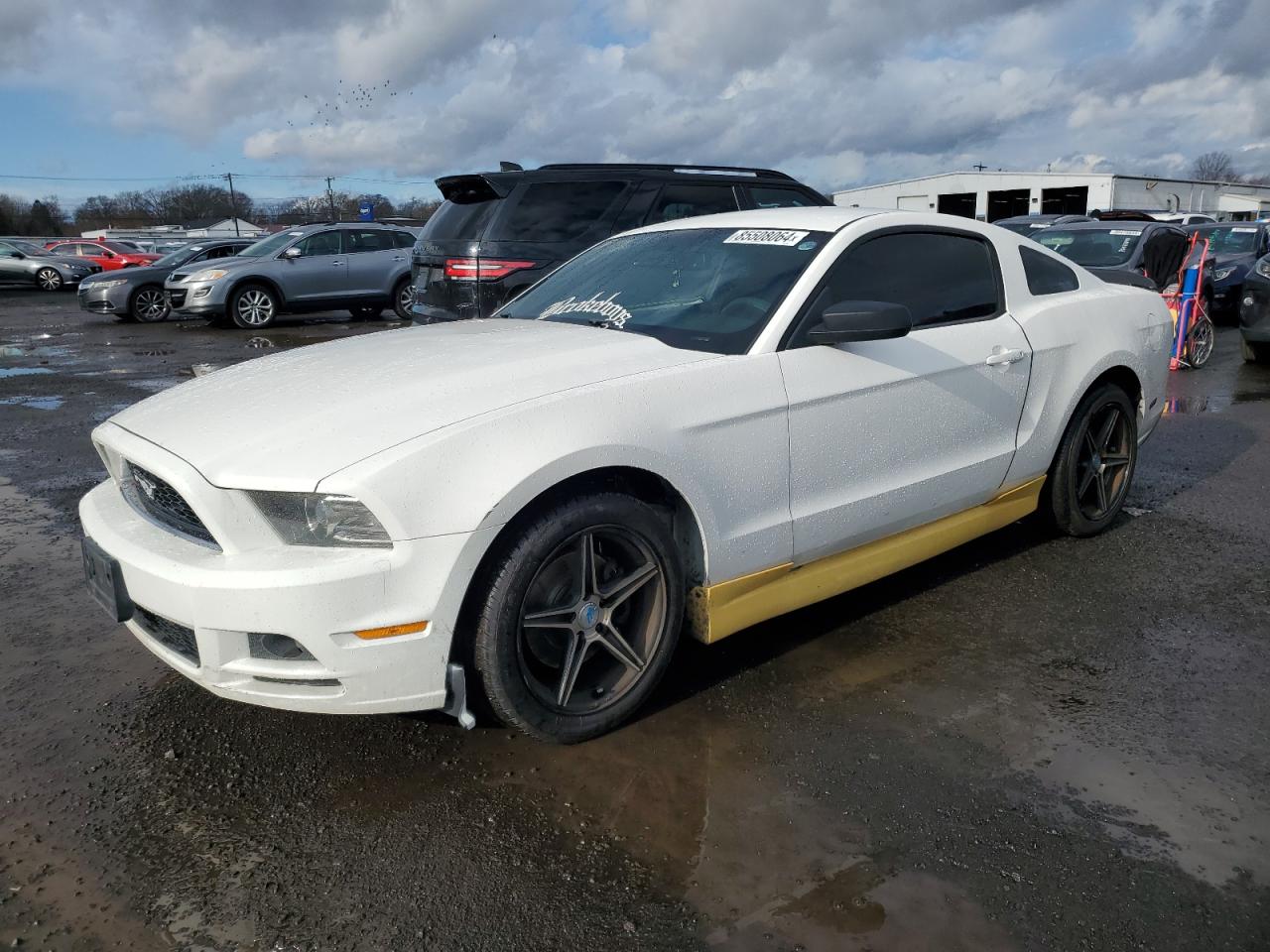 Lot #3045571745 2013 FORD MUSTANG