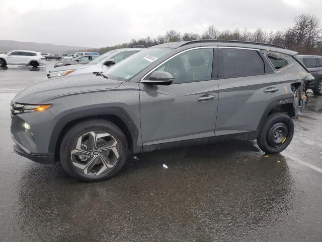 HYUNDAI TUCSON LIM 2024 gray  gas 5NMJECDE0RH366714 photo #1