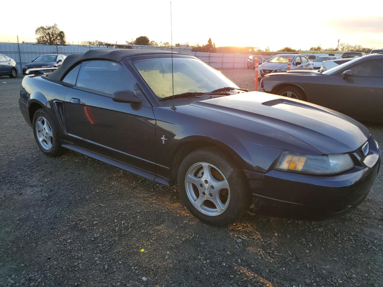 Lot #3028611931 2002 FORD MUSTANG