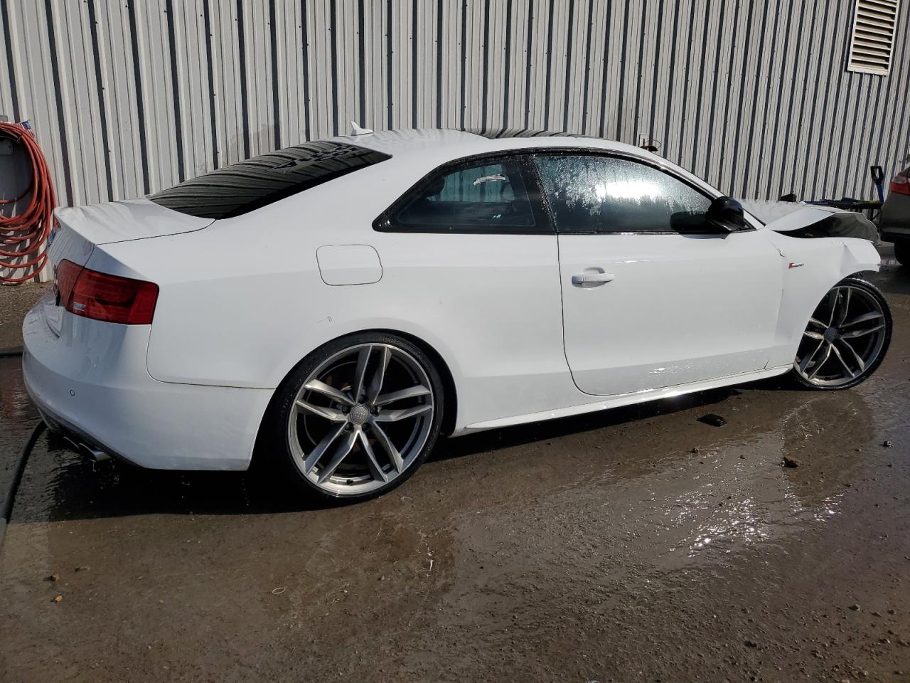 Lot #3027048813 2016 AUDI S5 PRESTIG