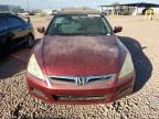 Lot #3037090450 2006 HONDA ACCORD