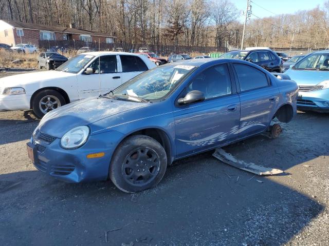 DODGE NEON SXT 2003 blue sedan 4d gas 1B3ES56C93D140657 photo #1