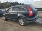 Lot #3045594648 2008 HONDA CR-V EXL