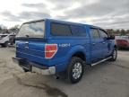 Lot #3024821371 2013 FORD F150 SUPER