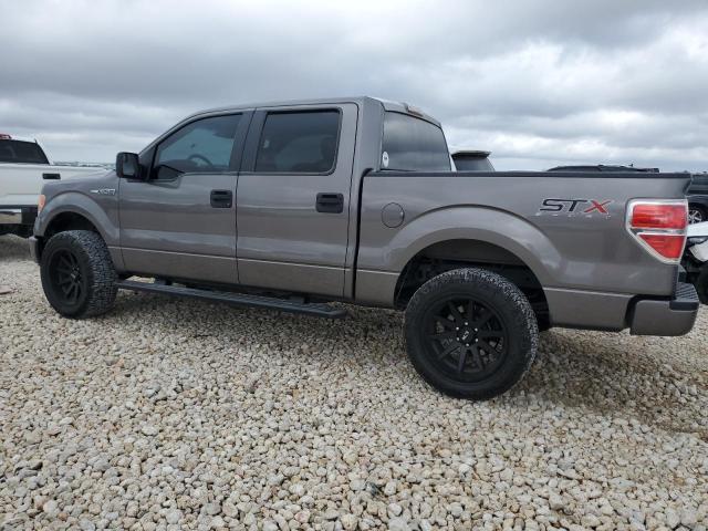 FORD F150 SUPER 2014 gray  flexible fuel 1FTFW1CF9EKD74052 photo #3