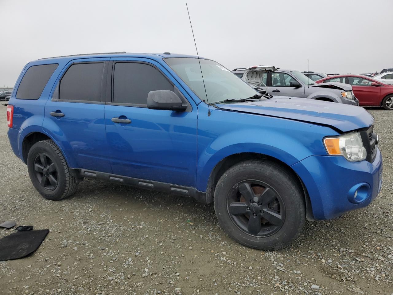 Lot #3033557095 2011 FORD ESCAPE XLT