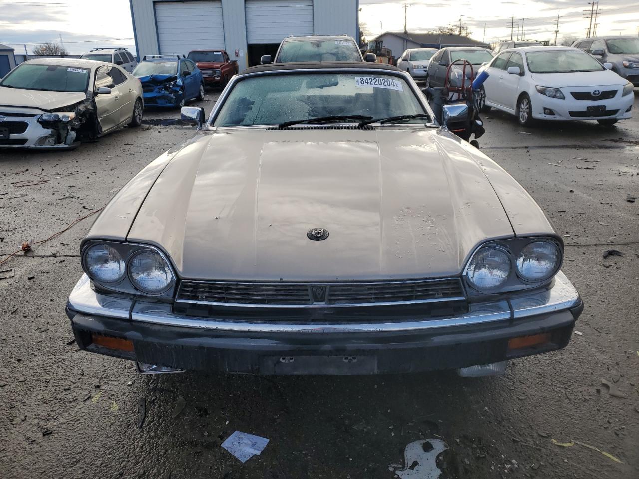 Lot #3030458457 1988 JAGUAR XJSC HE