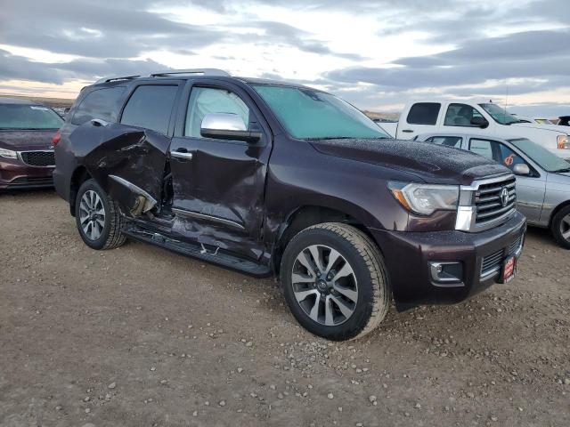 2019 TOYOTA SEQUOIA LI 5TDJY5G17KS172230