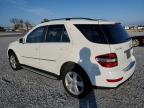 MERCEDES-BENZ ML 350 снимка