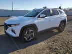2023 HYUNDAI TUCSON SEL - 5NMJFCAE6PH270911