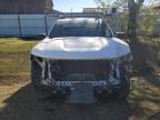 Lot #3024803453 2021 CHEVROLET SILVERADO