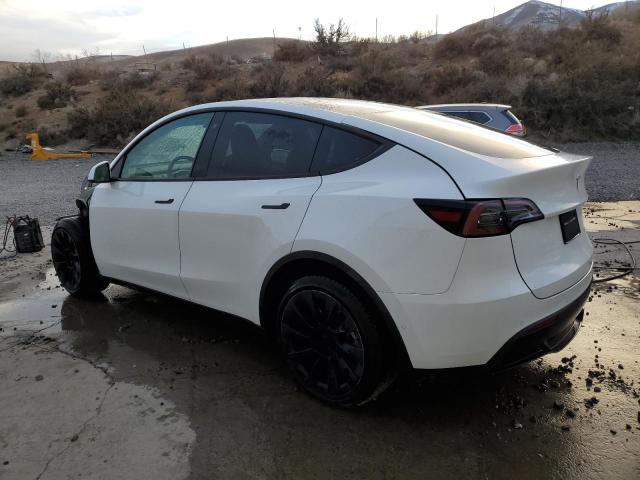 2022 TESLA MODEL Y - 7SAYGAEE0NF568396