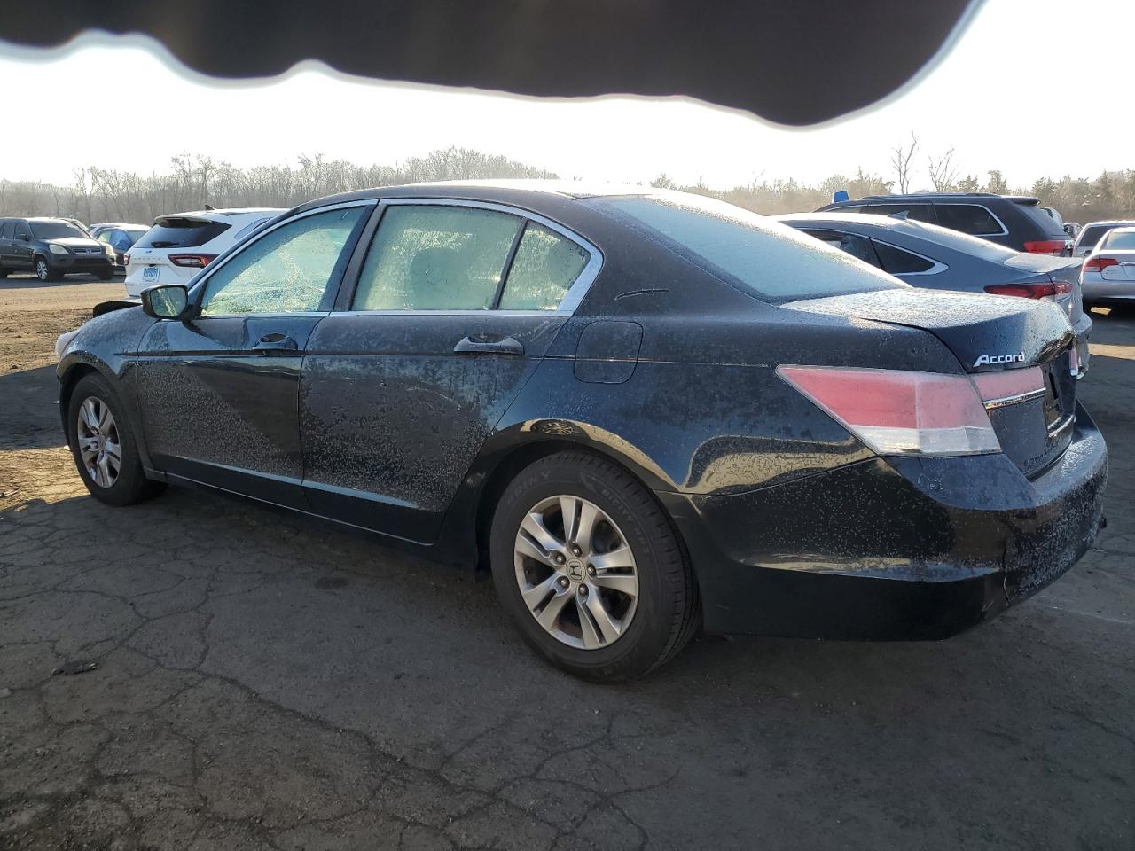 Lot #3036941779 2011 HONDA ACCORD SE