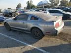 Lot #3023724871 2007 FORD MUSTANG