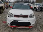 KIA SOUL + photo