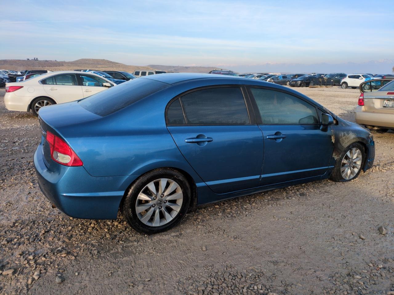 Lot #3038925045 2009 HONDA CIVIC EXL