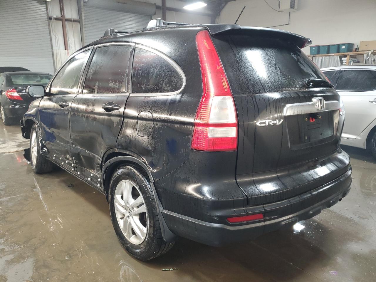 Lot #3026800990 2010 HONDA CR-V EXL