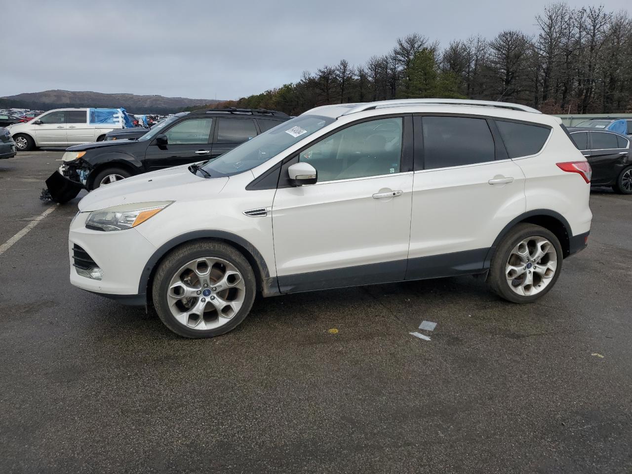 Lot #3030412475 2014 FORD ESCAPE TIT