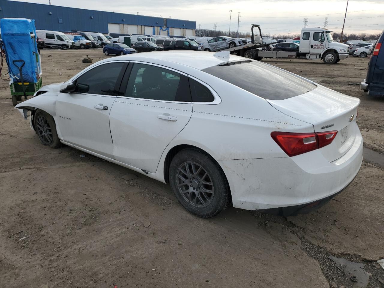 Lot #3034318106 2017 CHEVROLET MALIBU LT