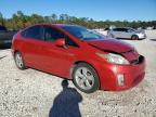 Lot #3026131294 2010 TOYOTA PRIUS