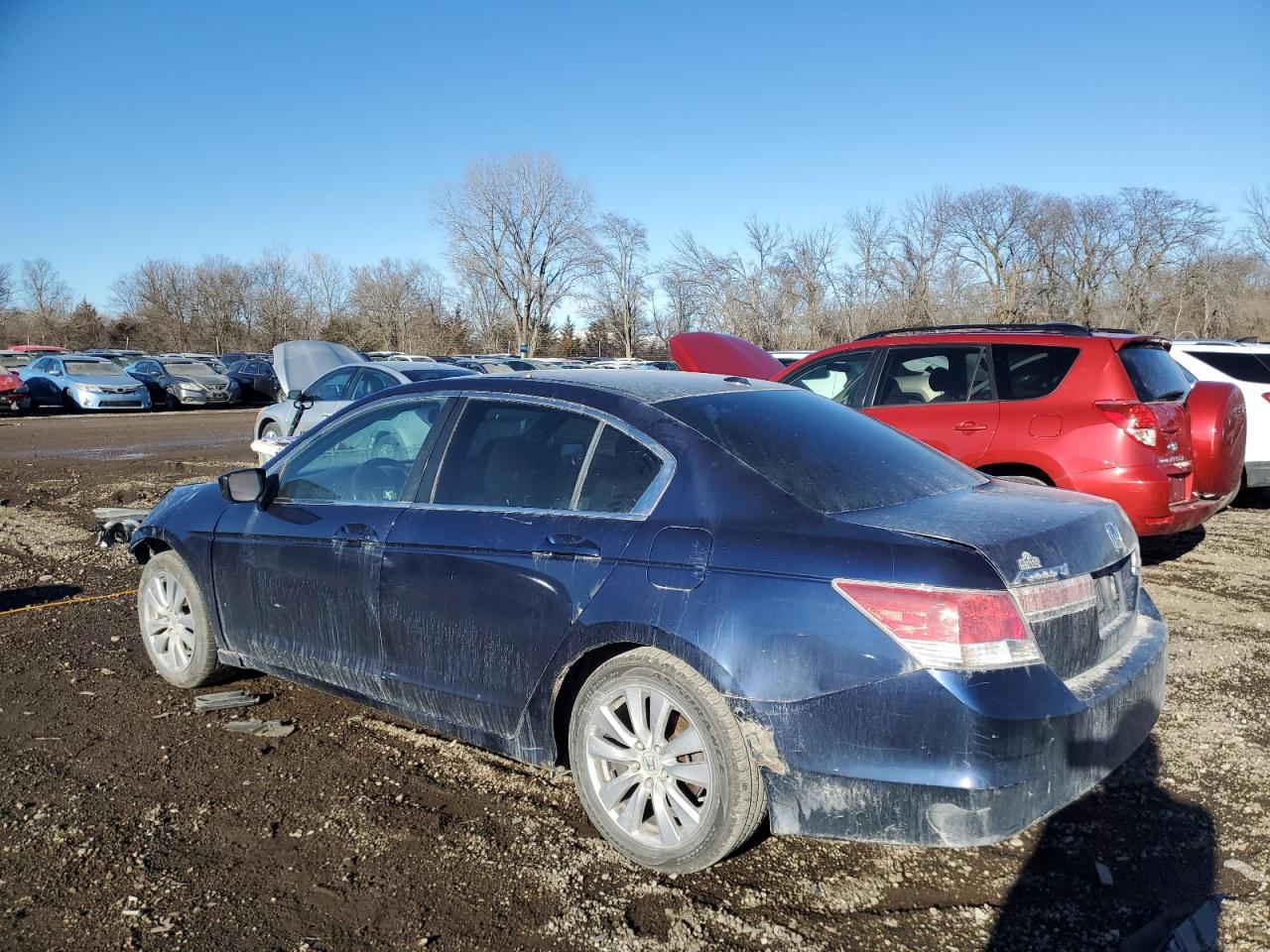 Lot #3028535927 2011 HONDA ACCORD EXL