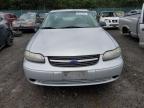 Lot #3034737659 2003 CHEVROLET MALIBU