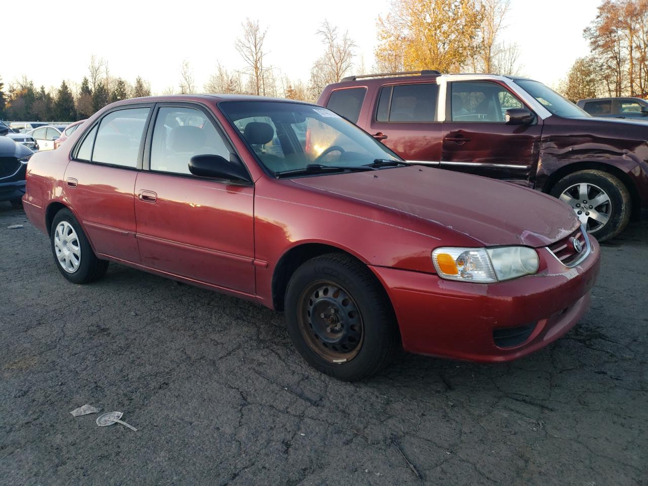 Lot #3036924723 2002 TOYOTA COROLLA CE