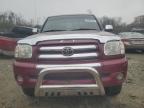 Lot #3024833411 2006 TOYOTA TUNDRA DOU