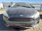 Lot #3024055624 2016 FORD FOCUS SE