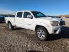 Lot #3037079412 2013 TOYOTA TACOMA DOU