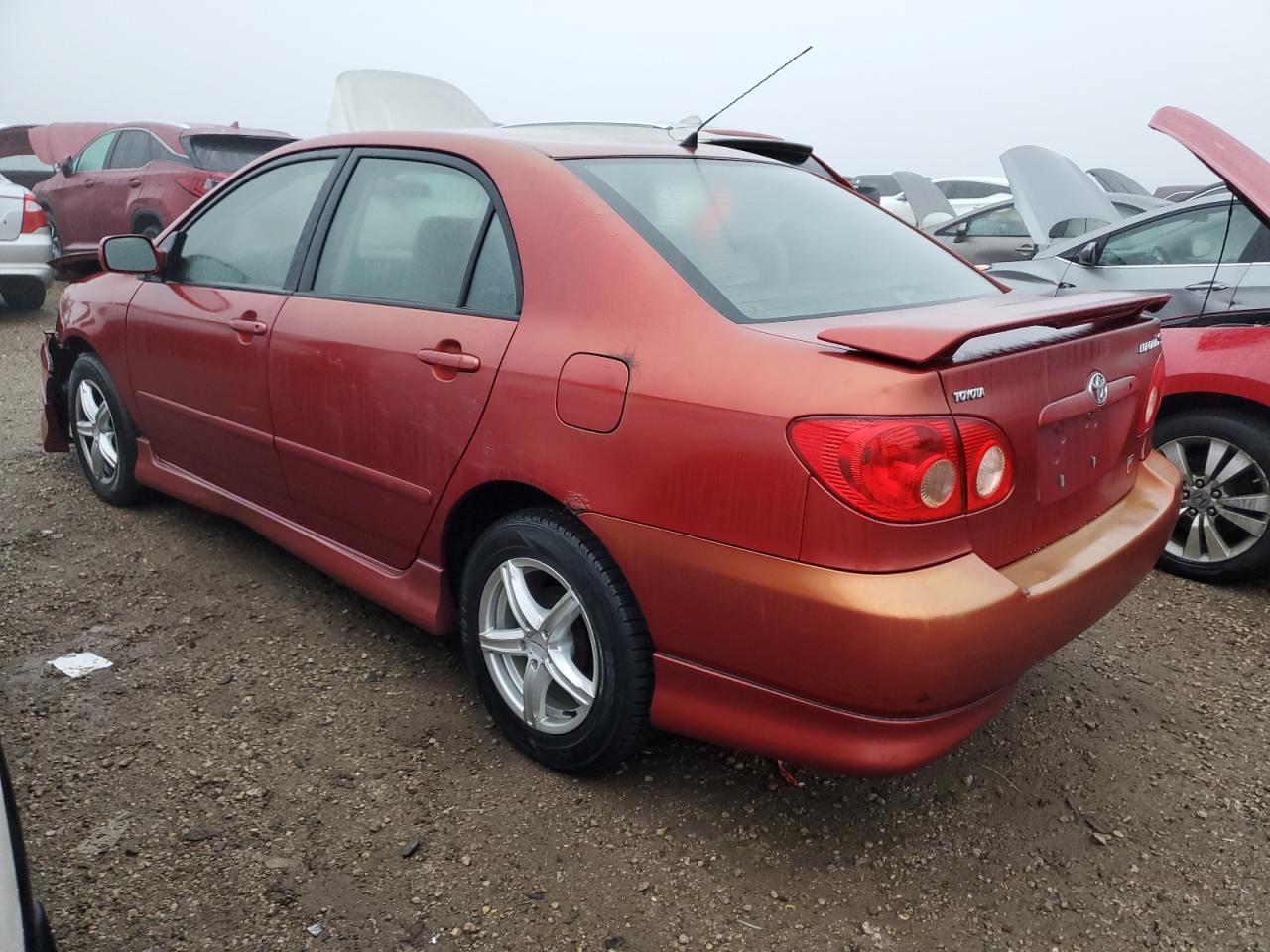 Lot #3033026994 2005 TOYOTA COROLLA CE