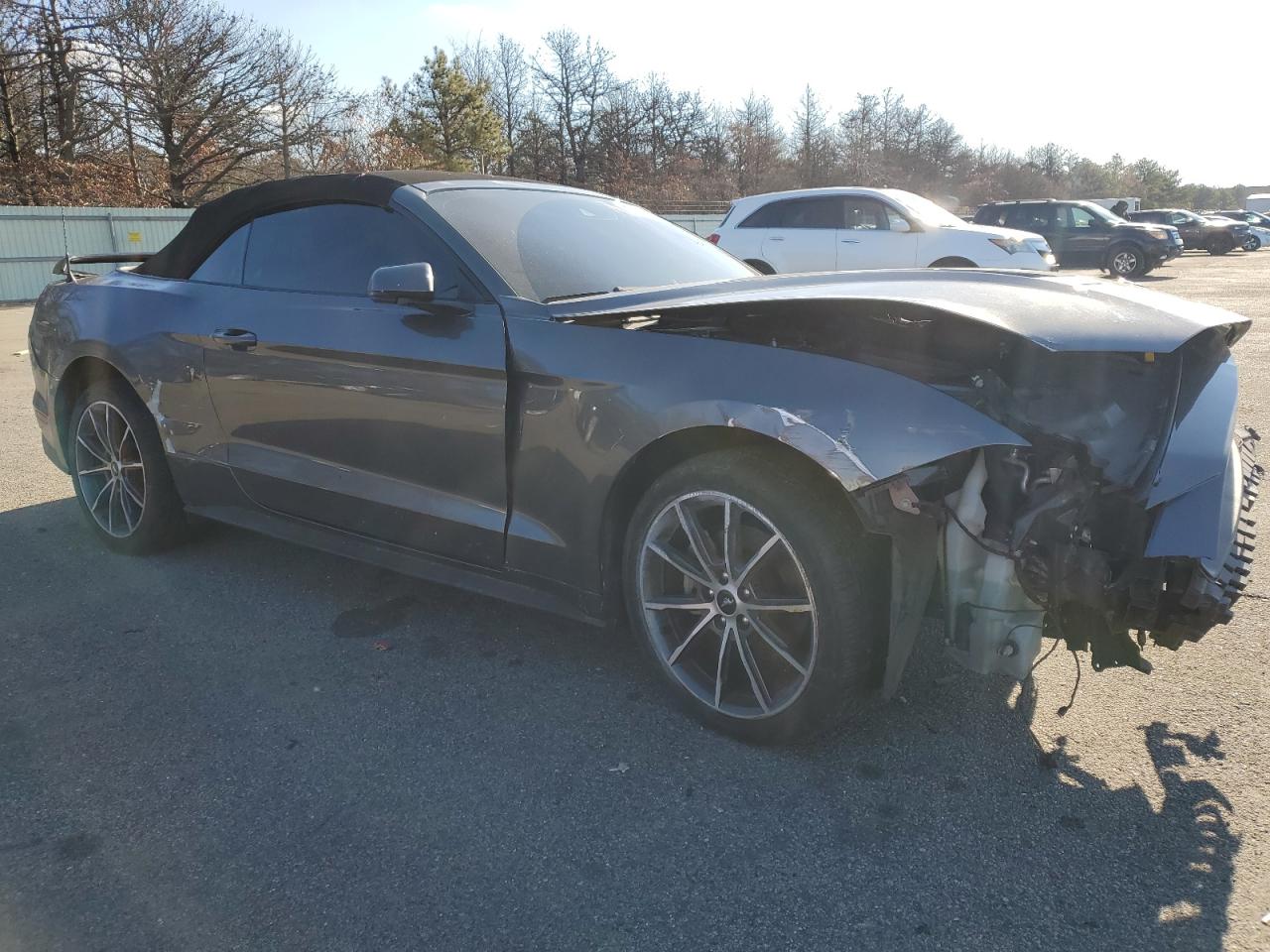 Lot #3034284125 2019 FORD MUSTANG