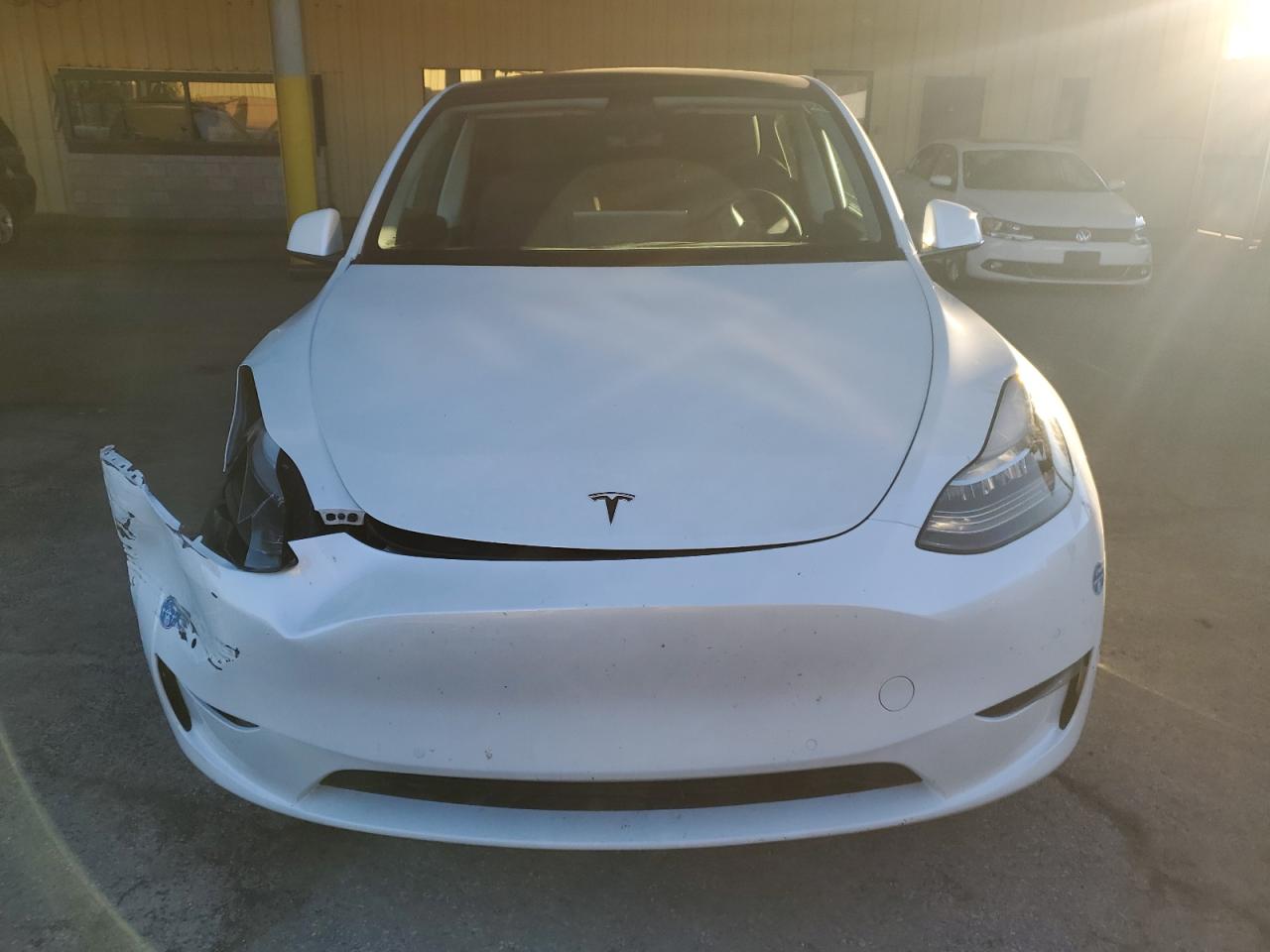 Lot #3028272797 2020 TESLA MODEL Y