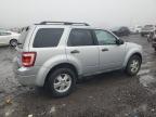 Lot #3030546508 2011 FORD ESCAPE XLT