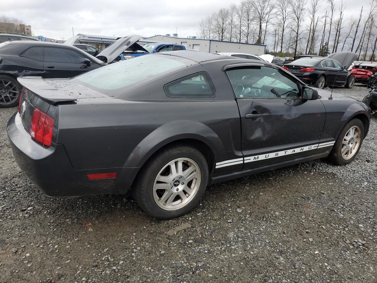 Lot #3045593673 2007 FORD MUSTANG