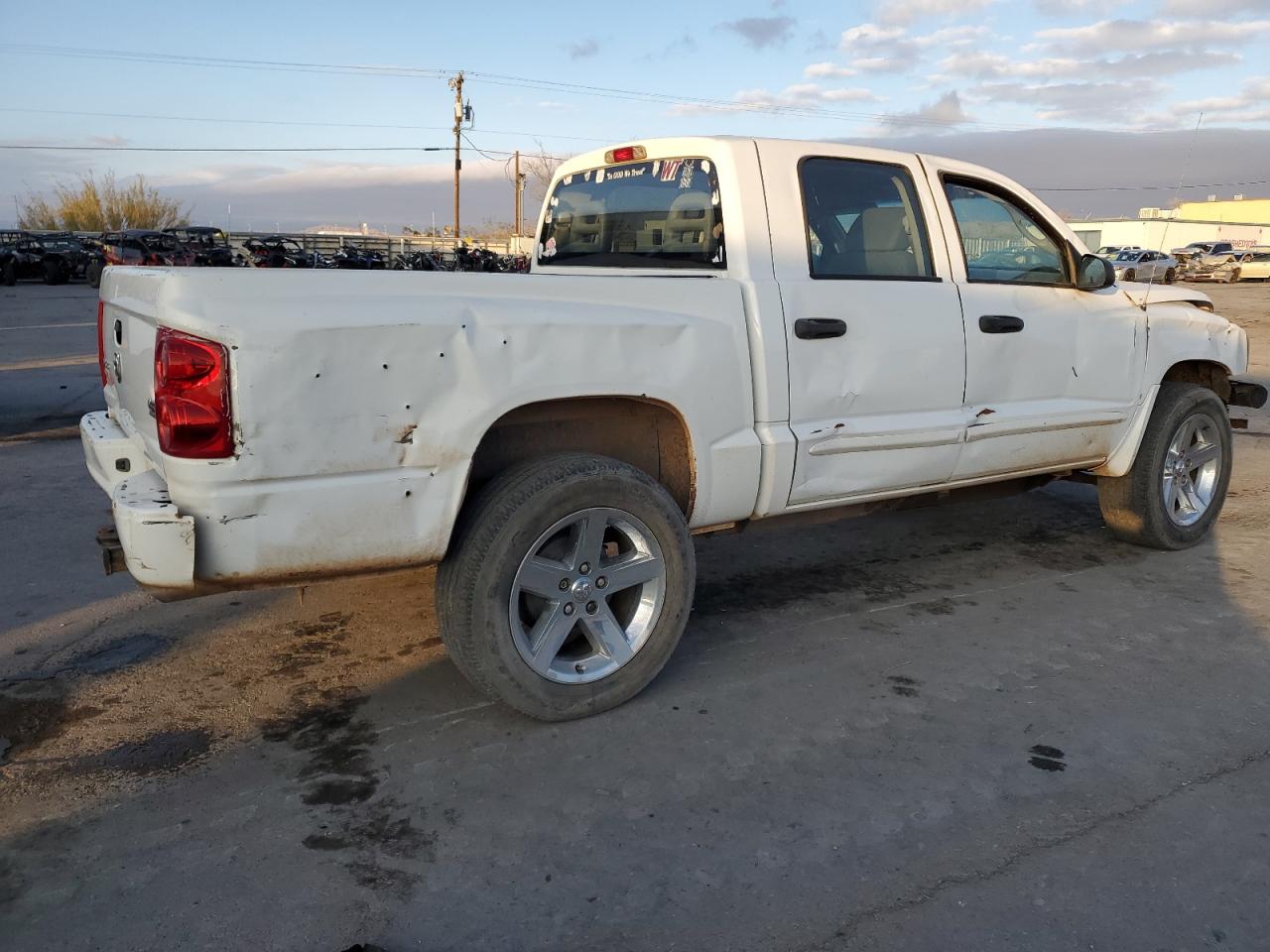 Lot #3024177850 2006 DODGE DAKOTA QUA