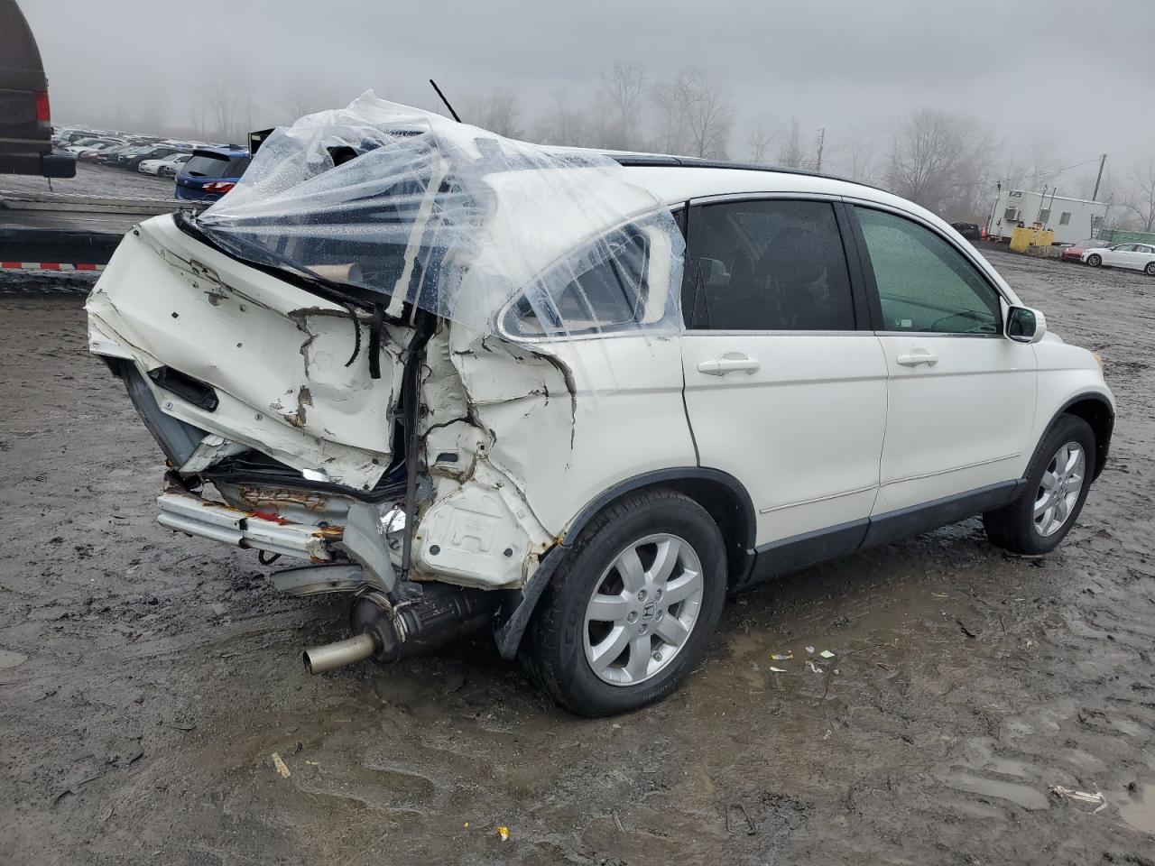 Lot #3029348691 2008 HONDA CR-V EXL