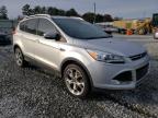 Lot #3023812896 2016 FORD ESCAPE TIT