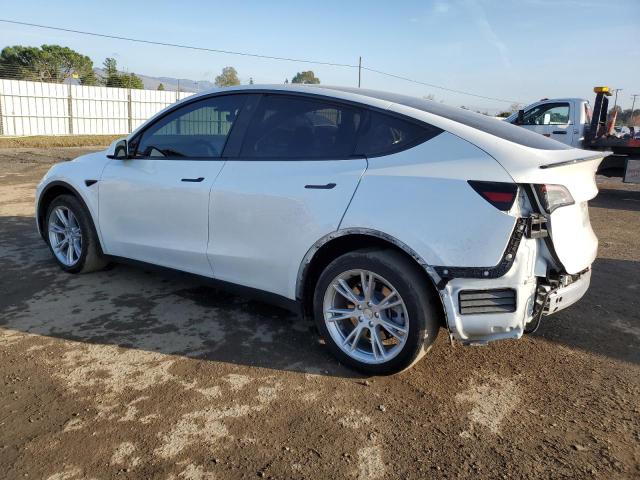 2023 TESLA MODEL Y - 7SAYGDEE6PF687056