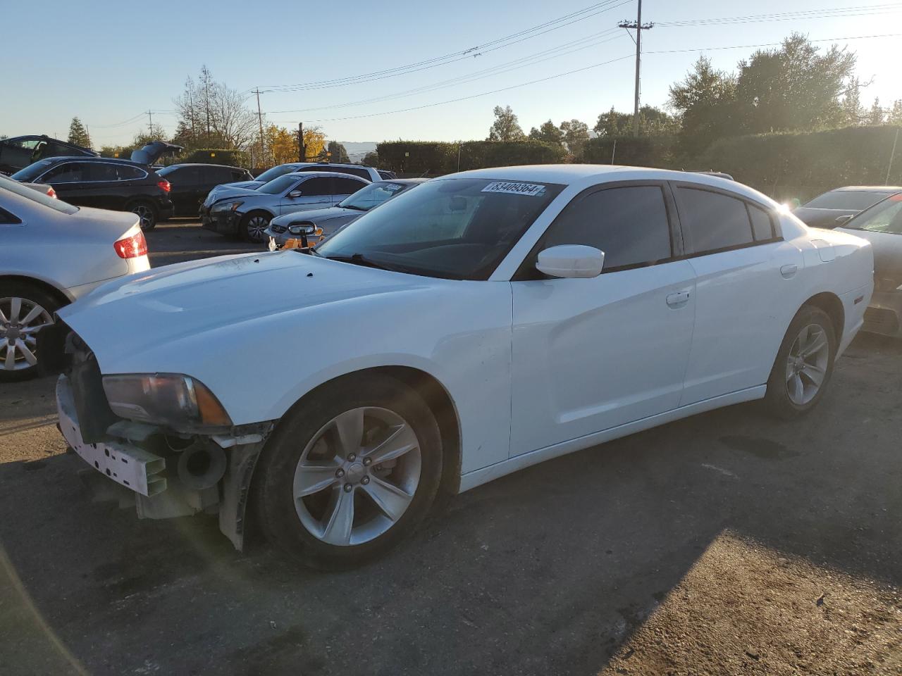 Lot #3034260069 2013 DODGE CHARGER SE