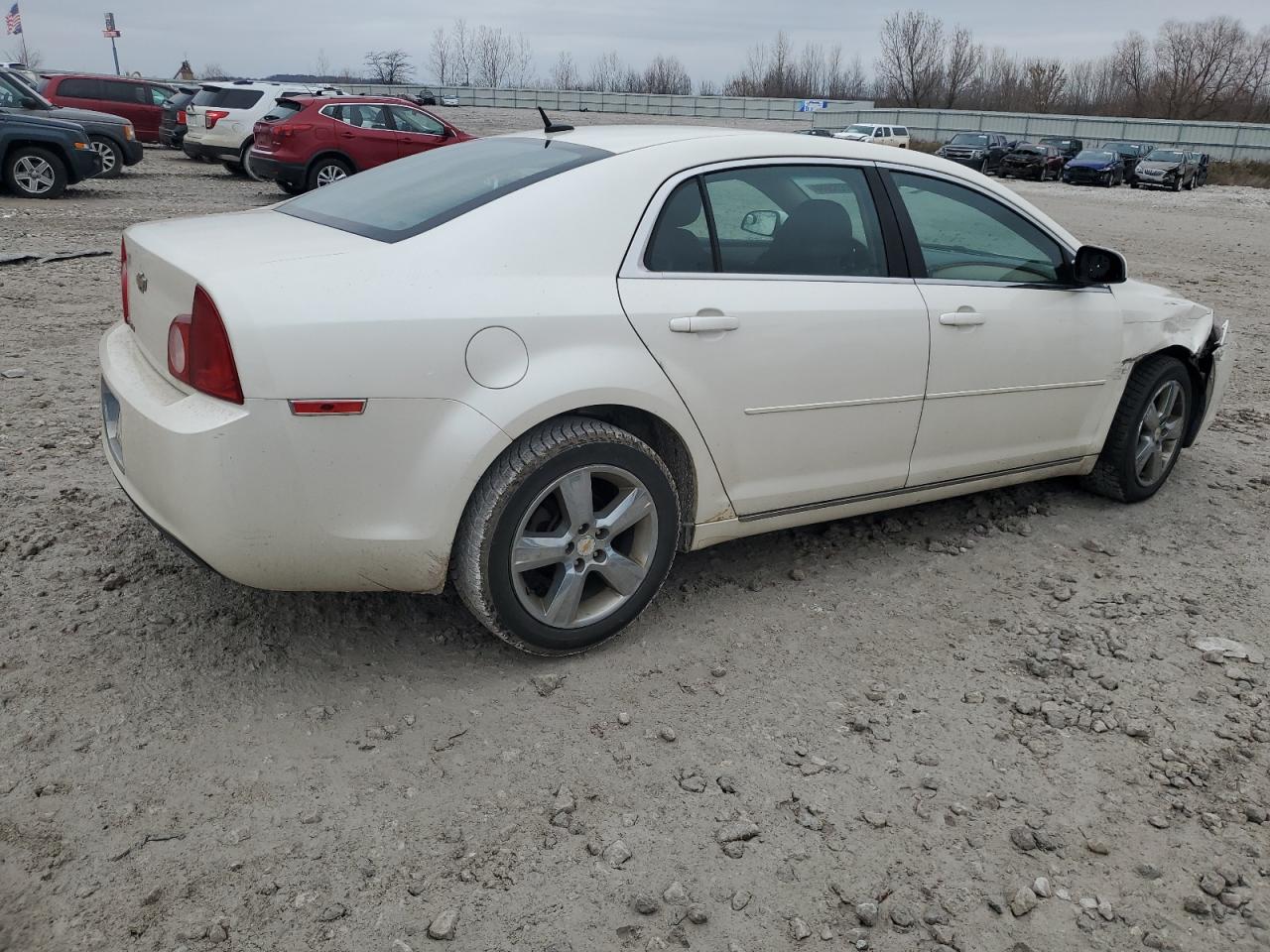 Lot #3034442729 2011 CHEVROLET MALIBU 1LT