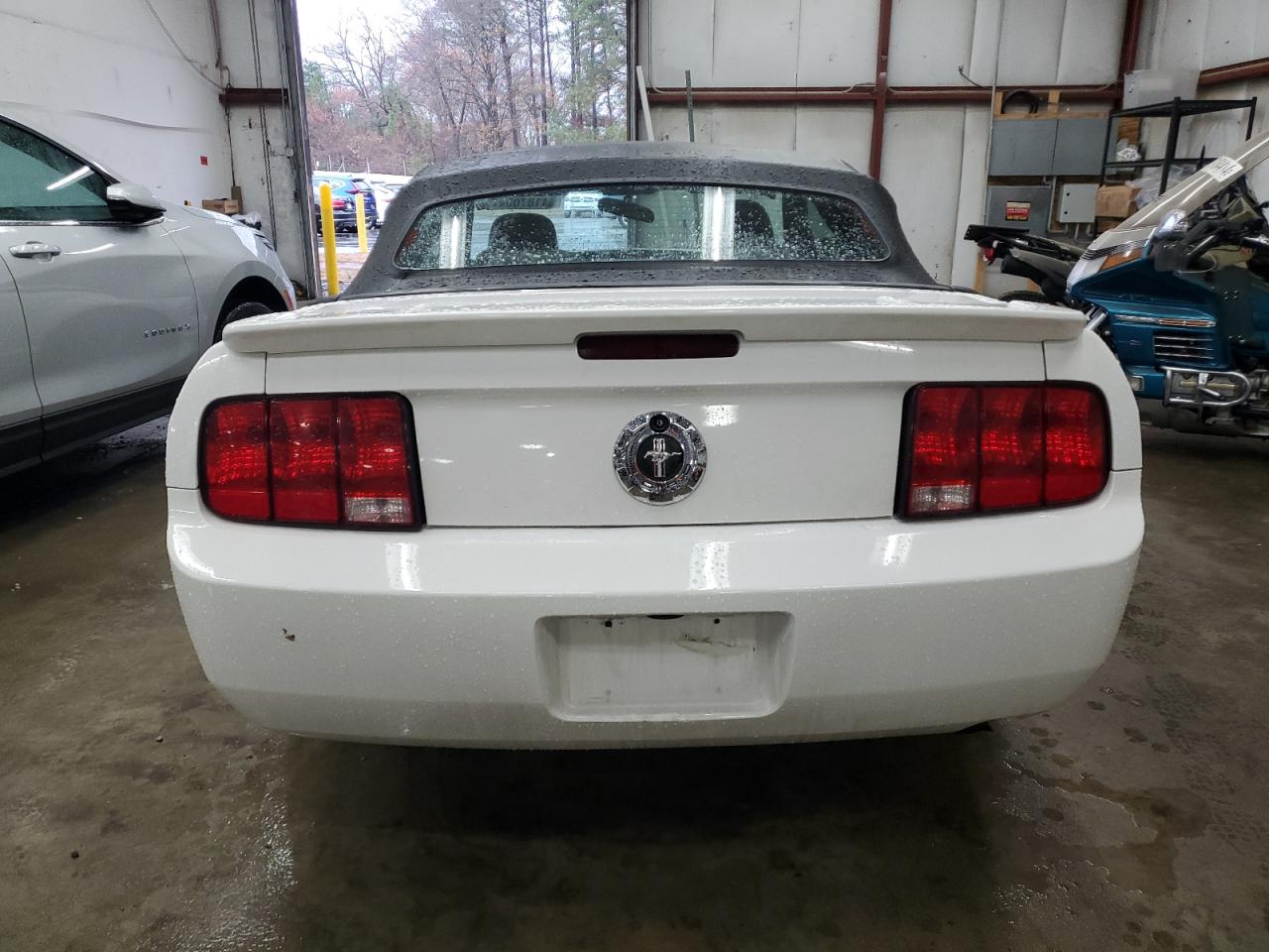 Lot #3024676691 2007 FORD MUSTANG