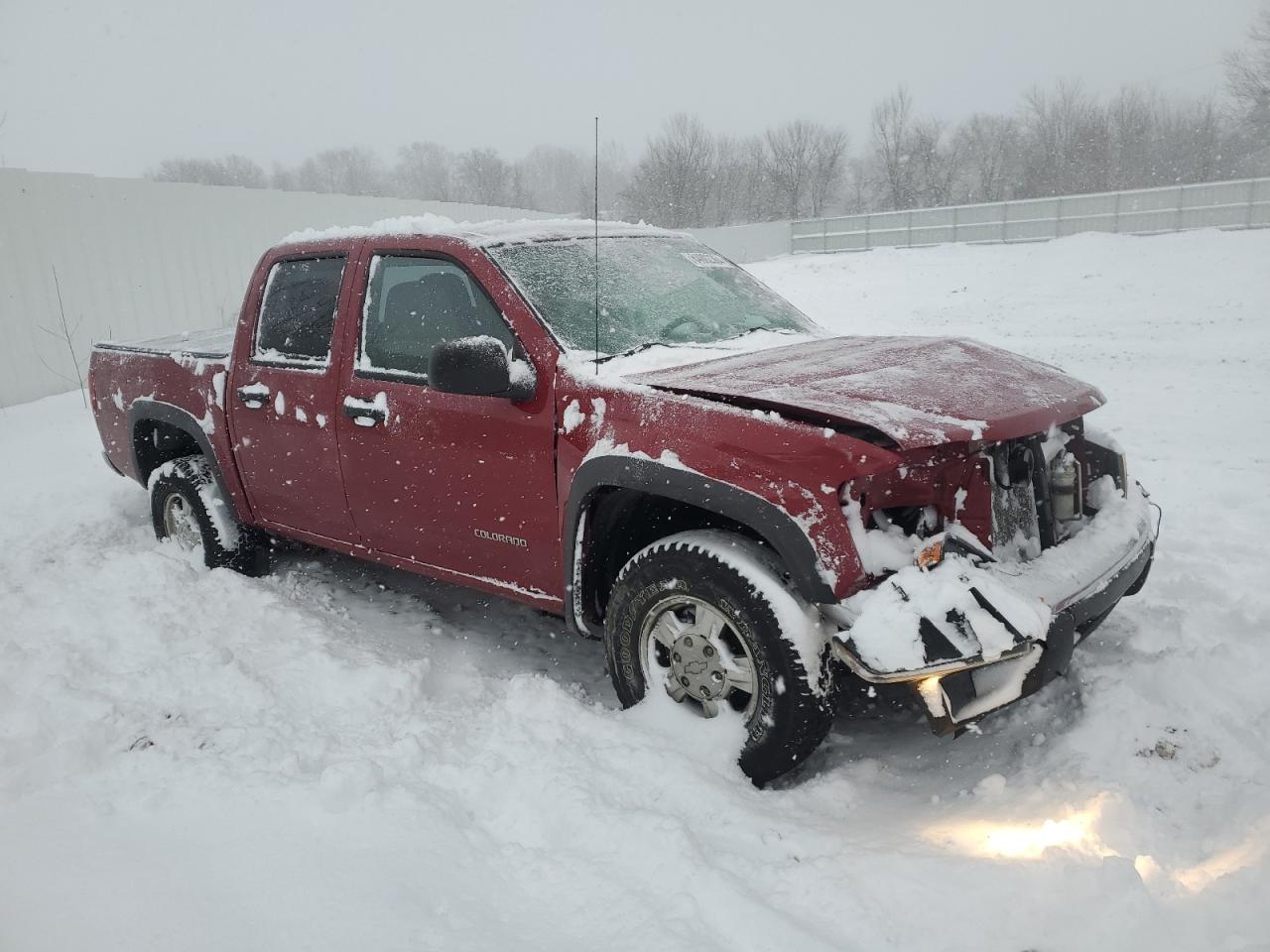 Lot #3028439252 2005 CHEVROLET COLORADO