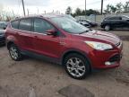 Lot #3024030272 2014 FORD ESCAPE TIT