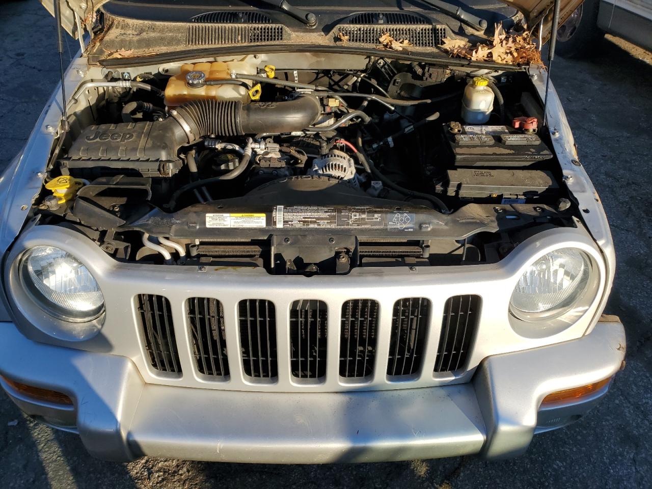 Lot #3024144849 2004 JEEP LIBERTY LI