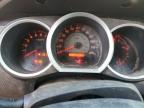 Lot #3025169266 2005 TOYOTA TACOMA PRE