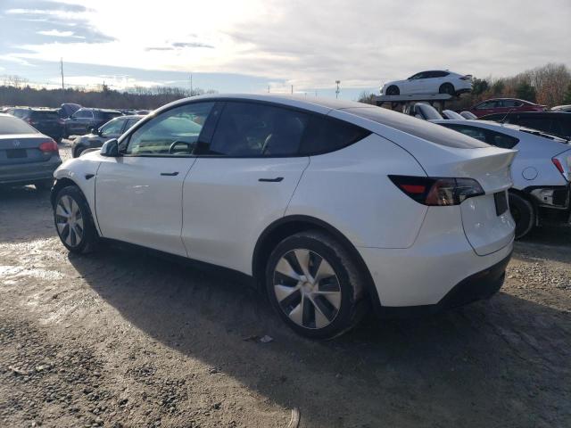 2022 TESLA MODEL Y - 7SAYGDEE8NF435001