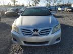 Lot #3033021999 2010 TOYOTA CAMRY BASE