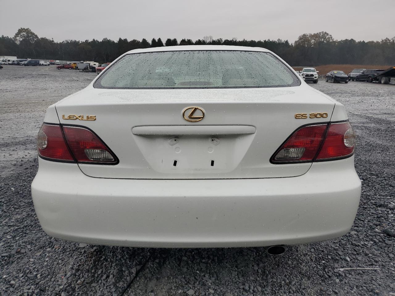 Lot #3024951372 2003 LEXUS ES 300