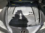 Lot #3020343466 2007 LEXUS LS 460